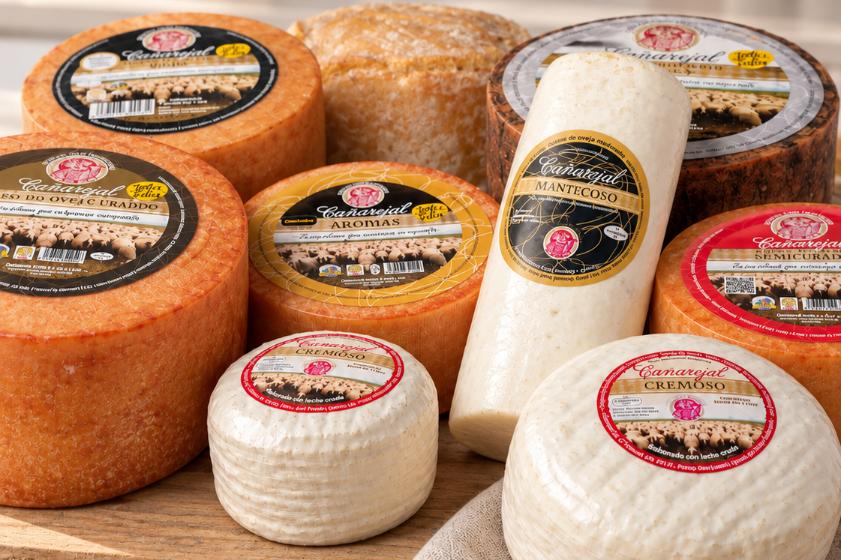 Queso de oveja: características, elaboración y cómo disfrutarlo